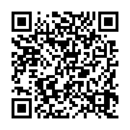 QR code for X28788