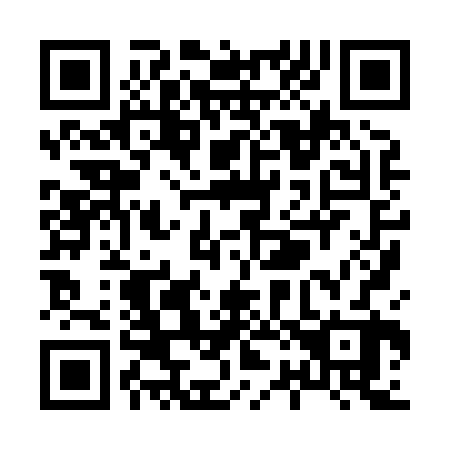 QR code for X28822