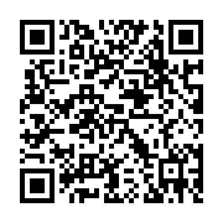 QR code for X28980