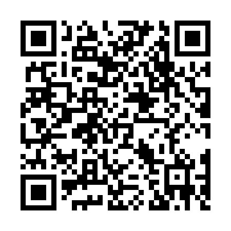 QR code for X29060