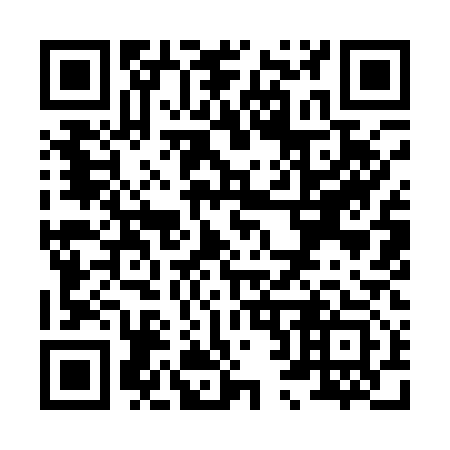 QR code for X29113