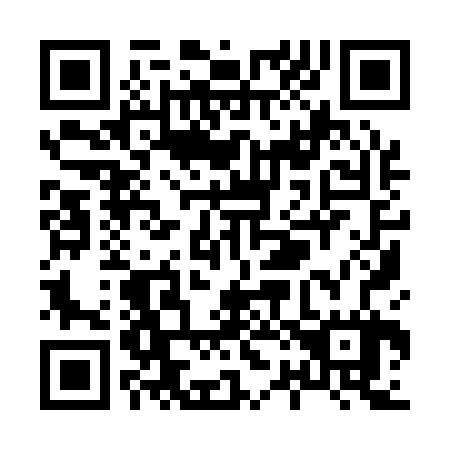 QR code for X29127