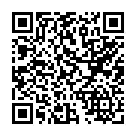 QR code for X29225