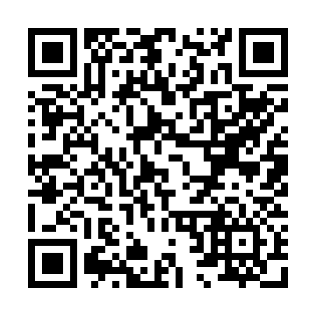 QR code for X29236