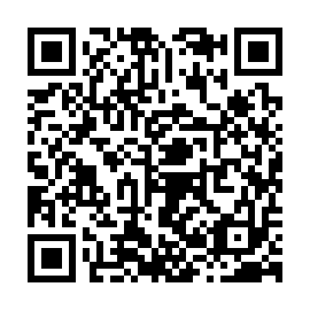 QR code for X29313