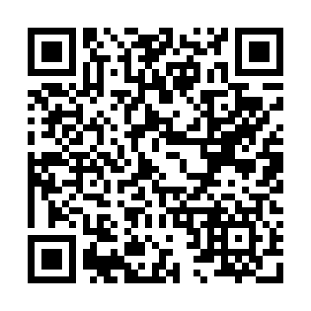 QR code for X29407