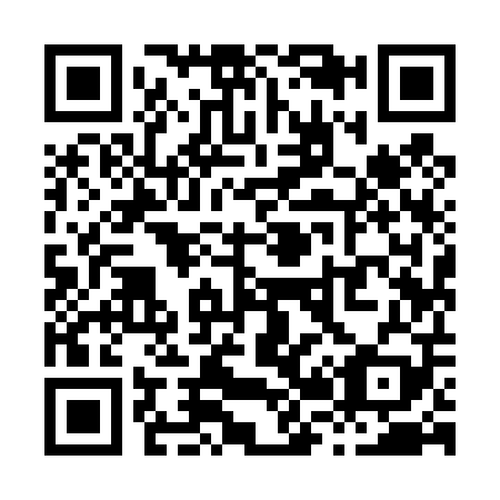 QR code for X29409