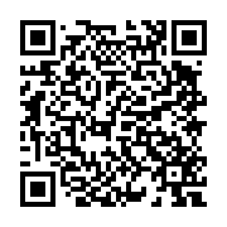 QR code for X29457
