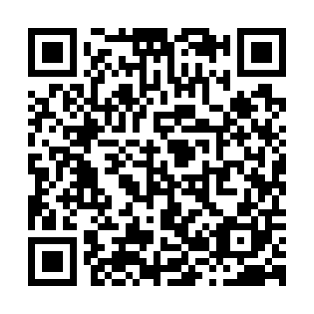 QR code for X29700