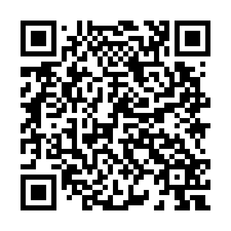 QR code for X29726
