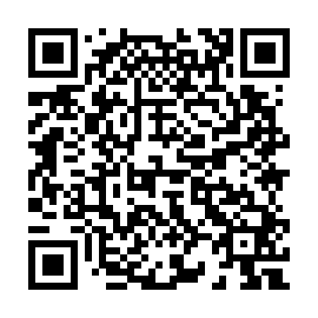 QR code for X29740