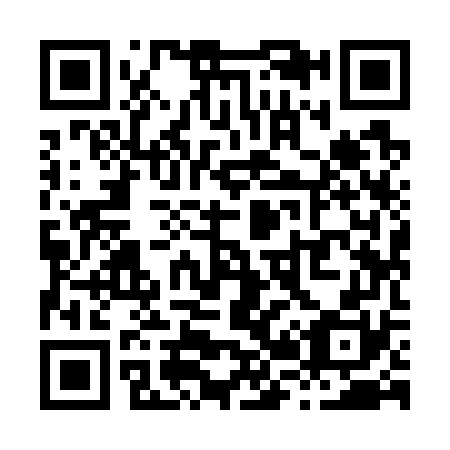 QR code for X29770