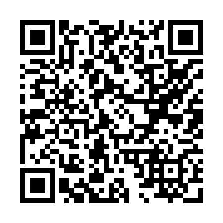 QR code for X29868