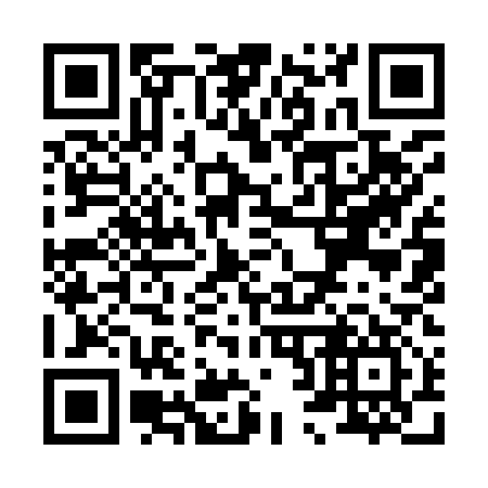 QR code for X29917
