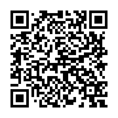 QR code for X29936