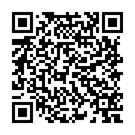QR code for X29954