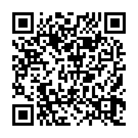 QR code for X29968