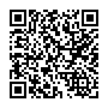 QR code for X29995