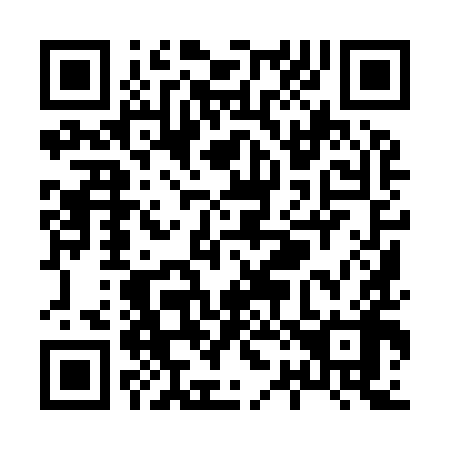 QR code for X29998