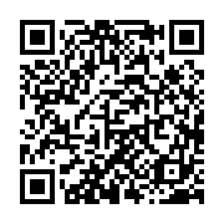 QR code for X30173