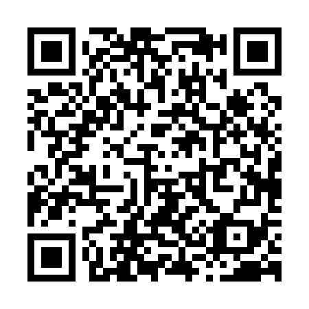 QR code for X30179