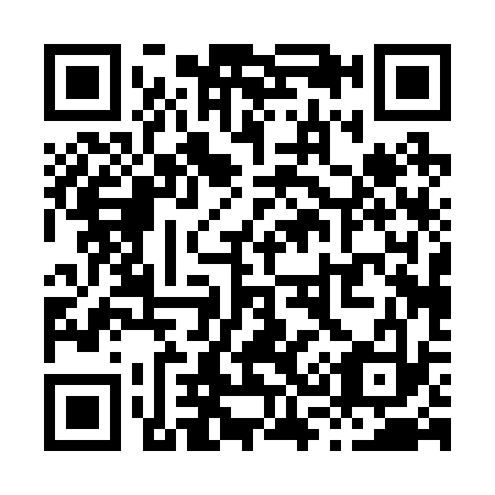 QR code for X30233