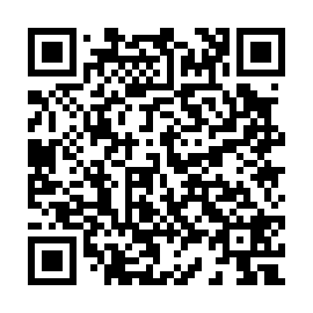 QR code for X31028