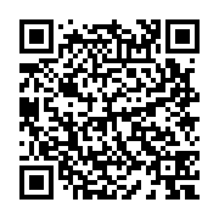 QR code for X31138