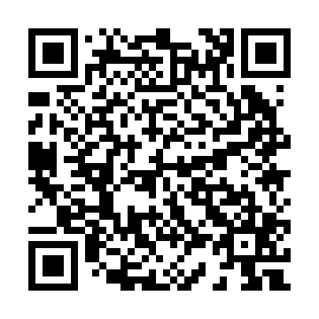 QR code for X31205