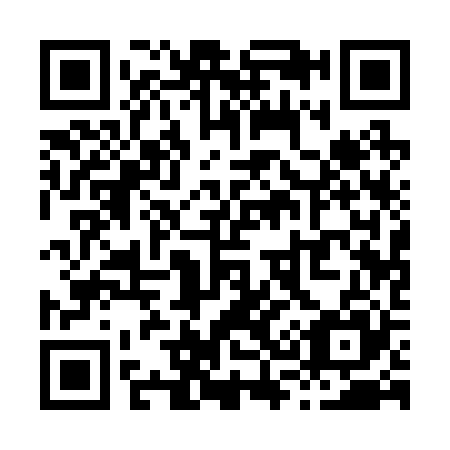 QR code for X31225