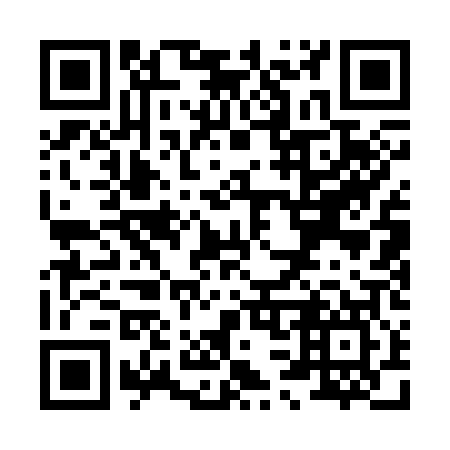 QR code for X31307