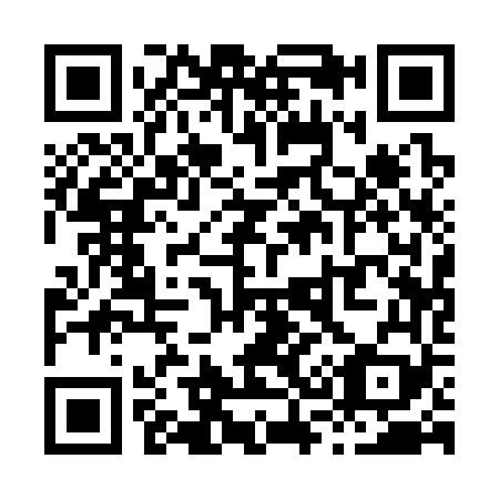 QR code for X31369