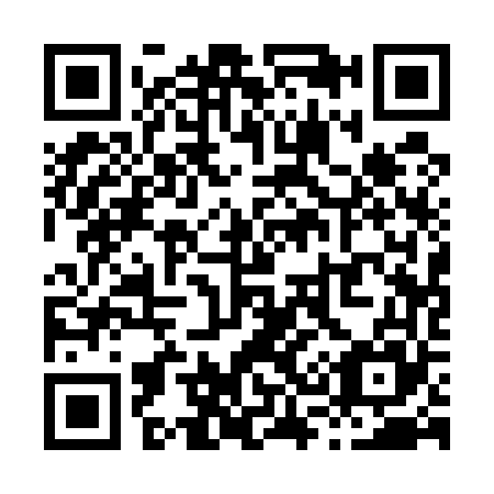 QR code for X31565