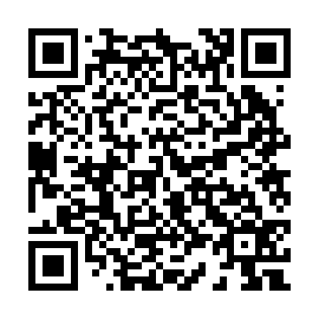 QR code for X32236