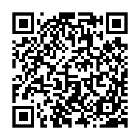 QR code for X32667