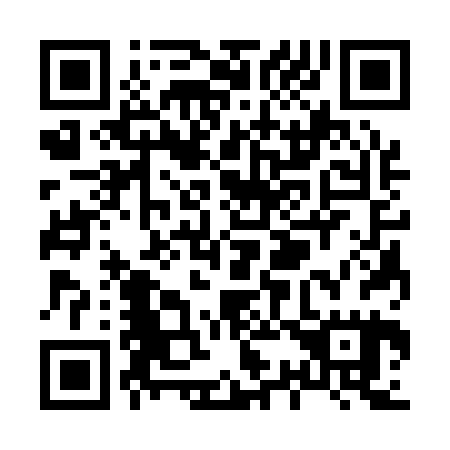 QR code for X33125