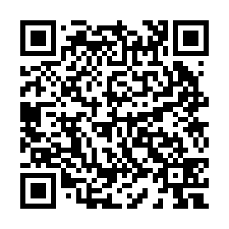 QR code for X33239