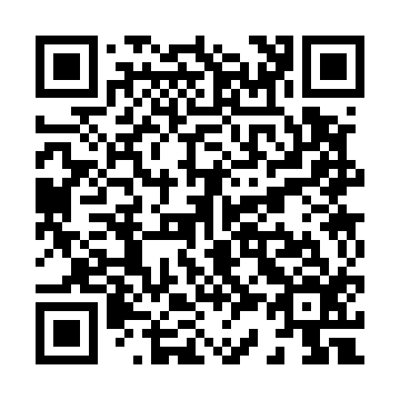 QR code for X33516