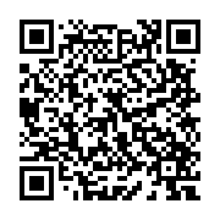 QR code for X33547