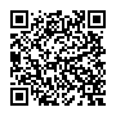 QR code for X33557