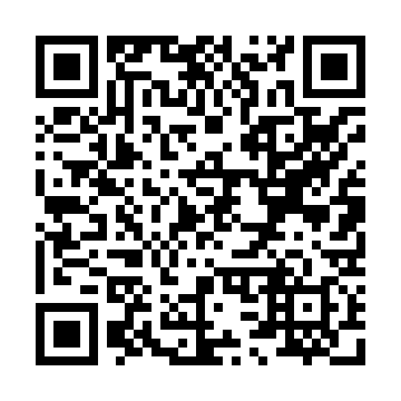 QR code for X34838