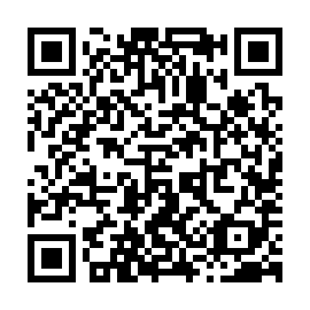 QR code for X36389