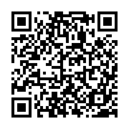 QR code for X36877