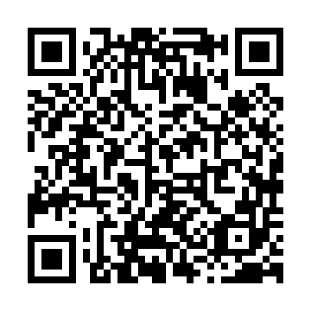 QR code for X38052