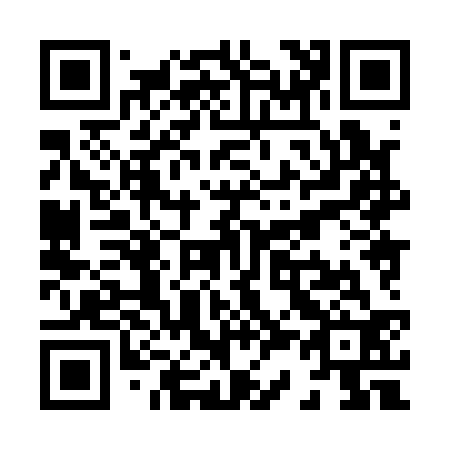 QR code for X38132