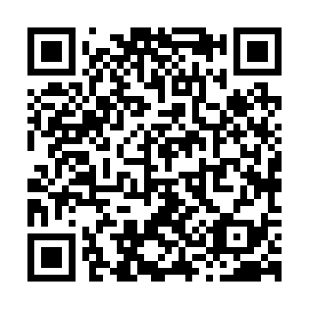 QR code for X38239