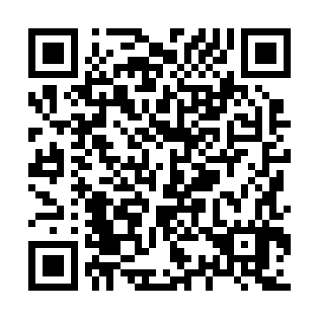 QR code for X38287