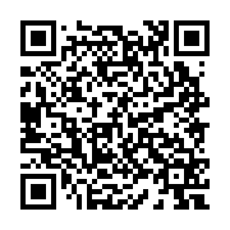 QR code for X38364