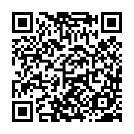 QR code for X38445