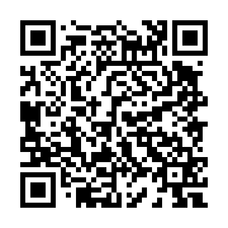 QR code for X38461